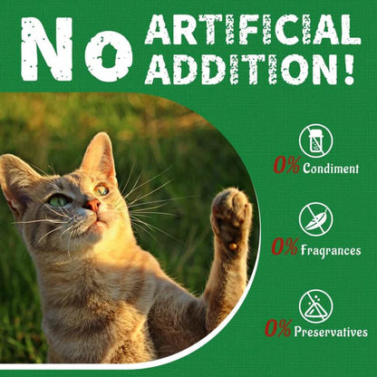 GrassBite™ Feline Grass Treats