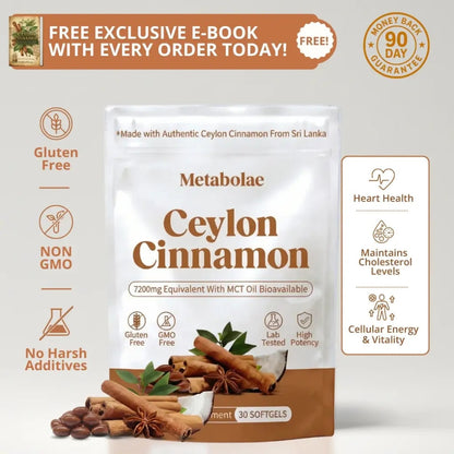 Ceylon Cinnamon 7200mg Equivalent with MCT Oil