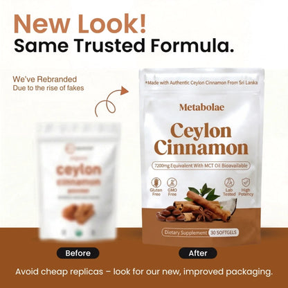 Ceylon Cinnamon 7200mg Equivalent with MCT Oil